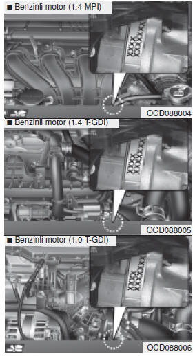 Motor numarası 